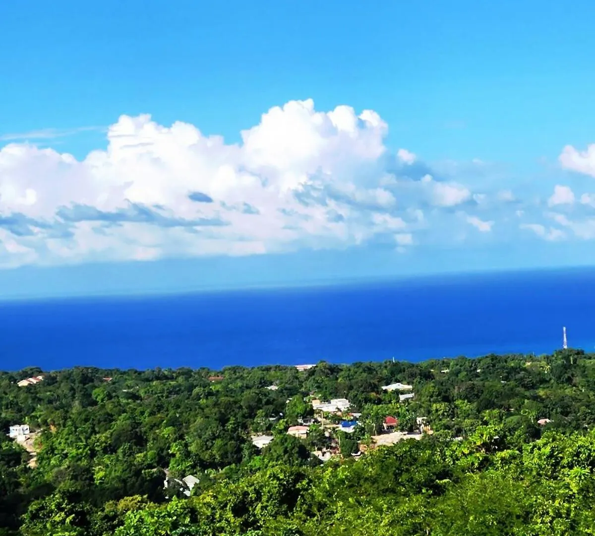 Blissdesiac Ocho Rios Villa